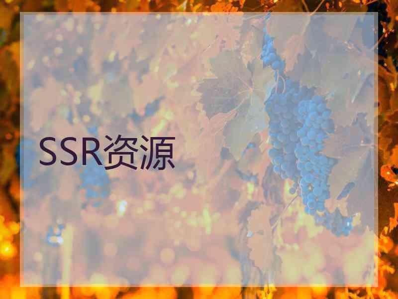 SSR资源