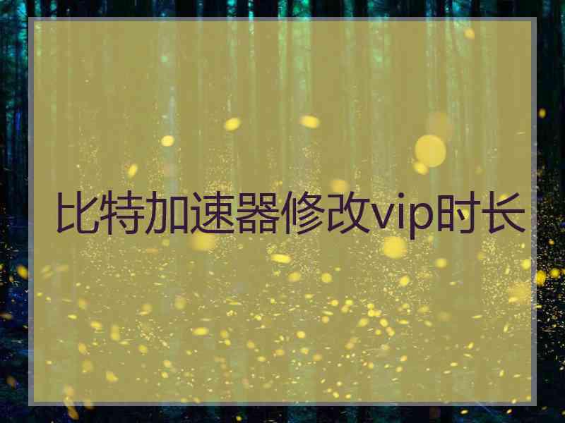 比特加速器修改vip时长