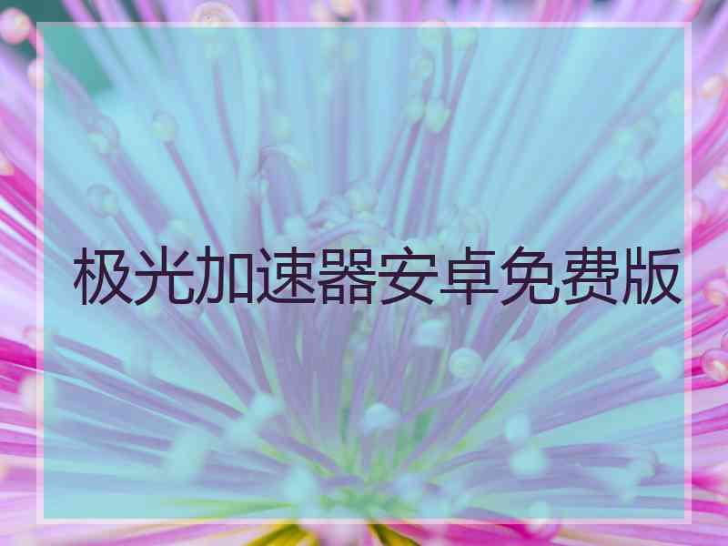 极光加速器安卓免费版