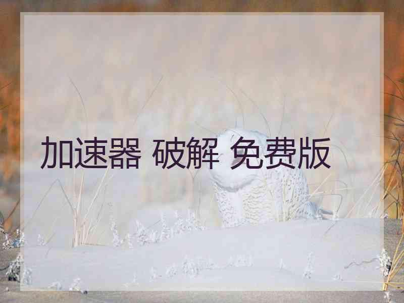 加速器 破解 免费版