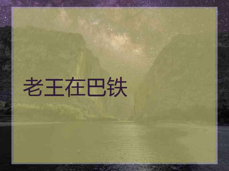 老王在巴铁