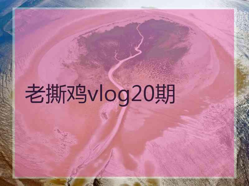 老撕鸡vlog20期