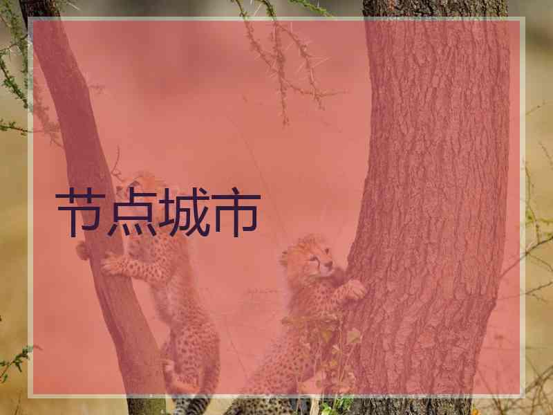 节点城市