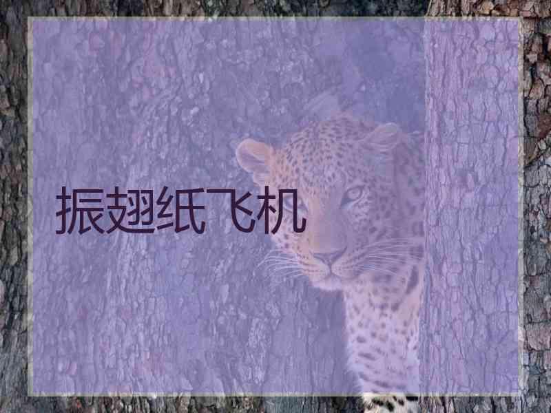 振翅纸飞机