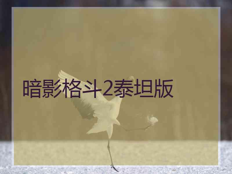 暗影格斗2泰坦版