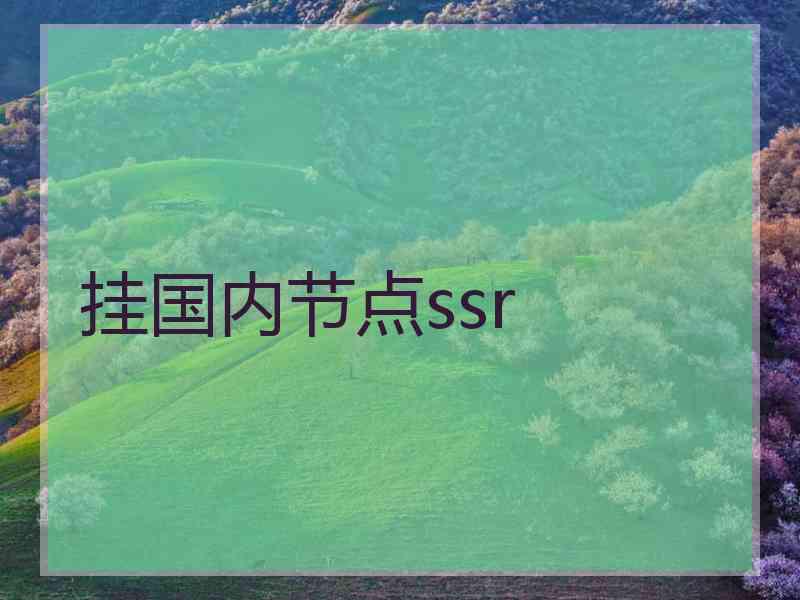挂国内节点ssr
