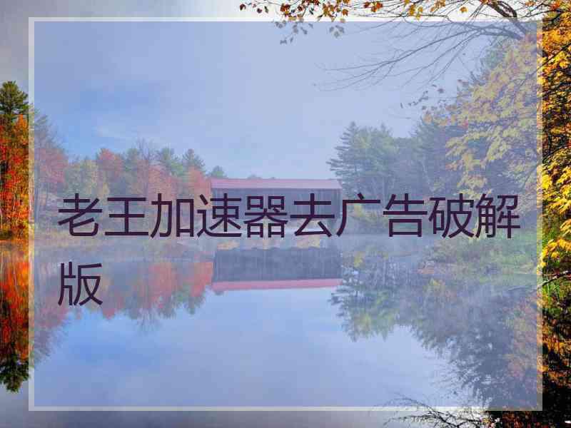 老王加速器去广告破解版