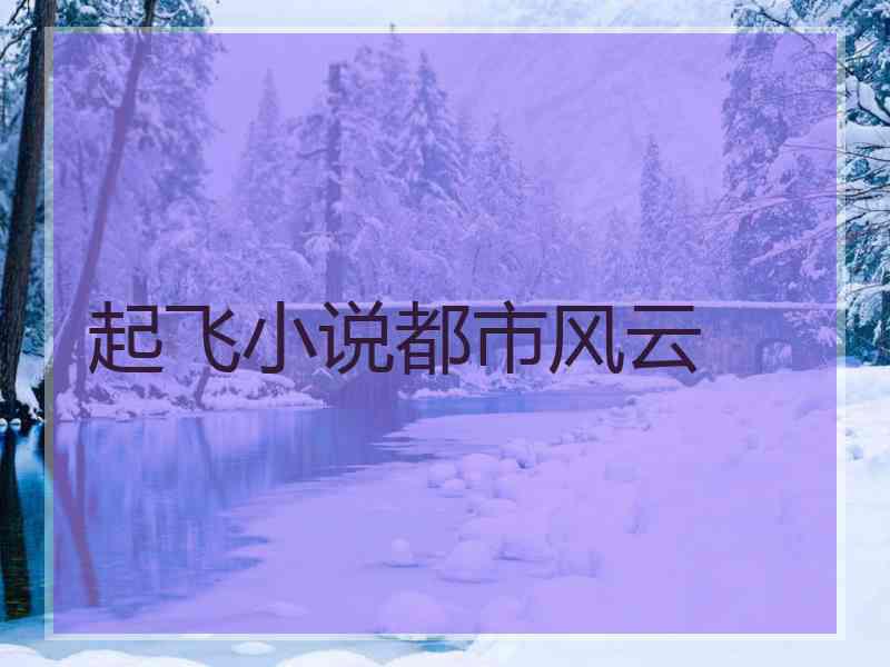 起飞小说都市风云