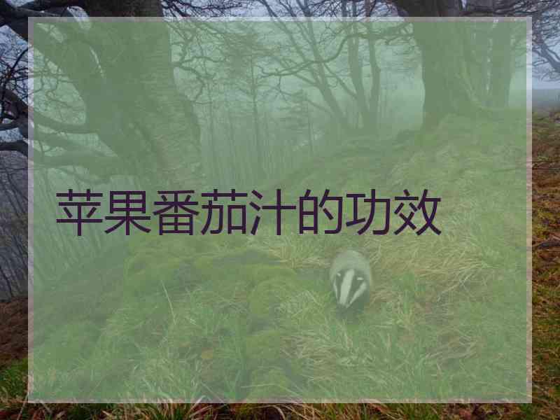 苹果番茄汁的功效