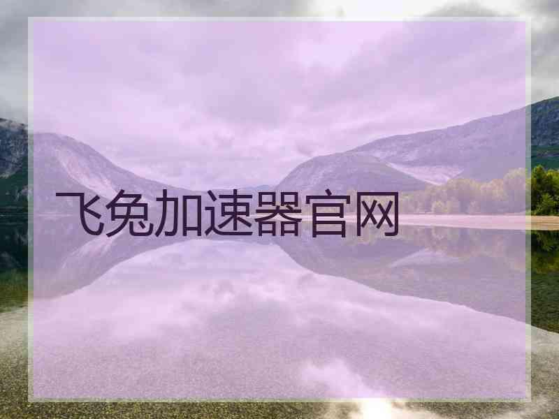 飞兔加速器官网