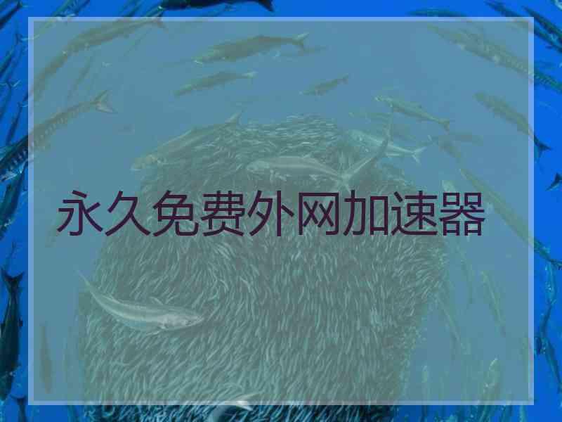 永久免费外网加速器