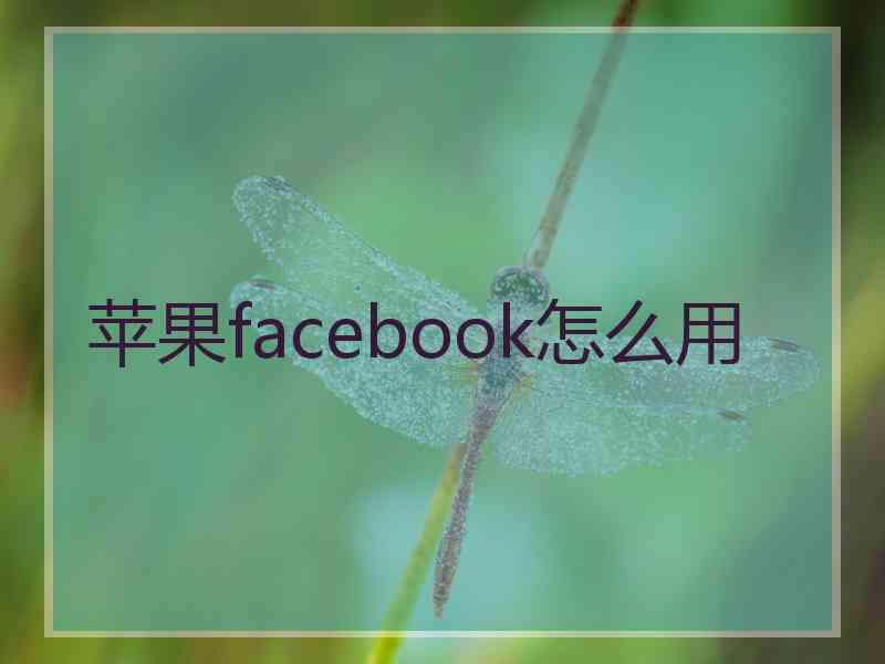 苹果facebook怎么用