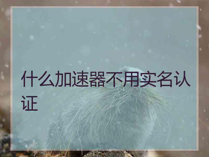 什么加速器不用实名认证