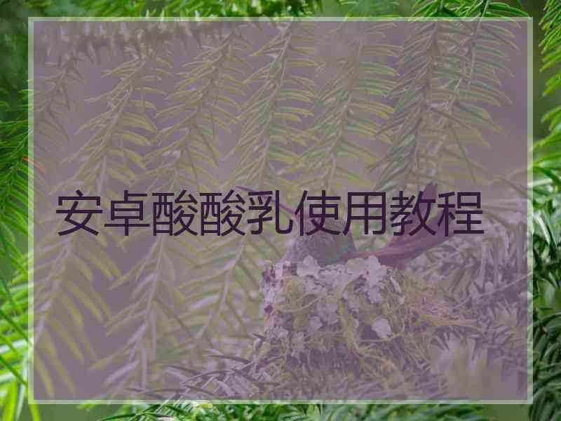 安卓酸酸乳使用教程