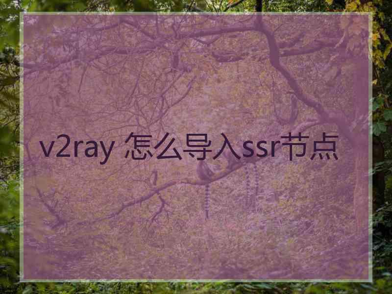 v2ray 怎么导入ssr节点