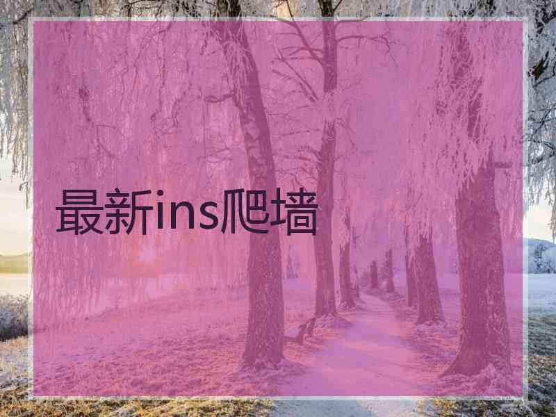 最新ins爬墙