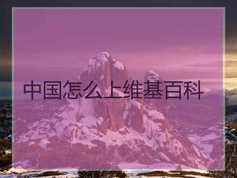 中国怎么上维基百科