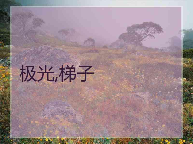 极光,梯子