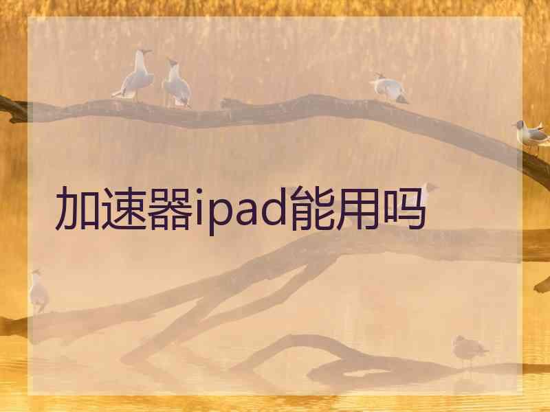 加速器ipad能用吗