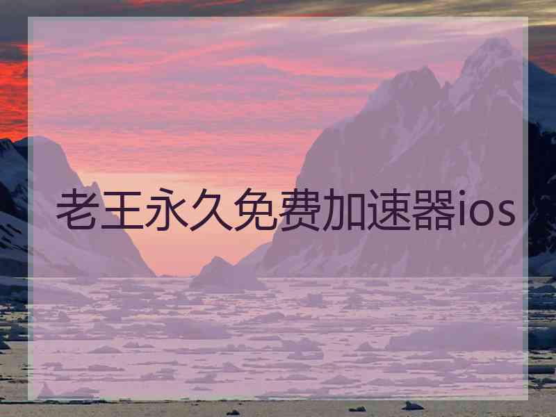 老王永久免费加速器ios