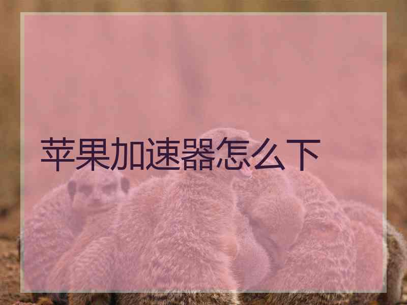 苹果加速器怎么下