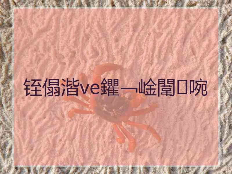 铚傝湝ve鑺﹁崯闈㈣啘