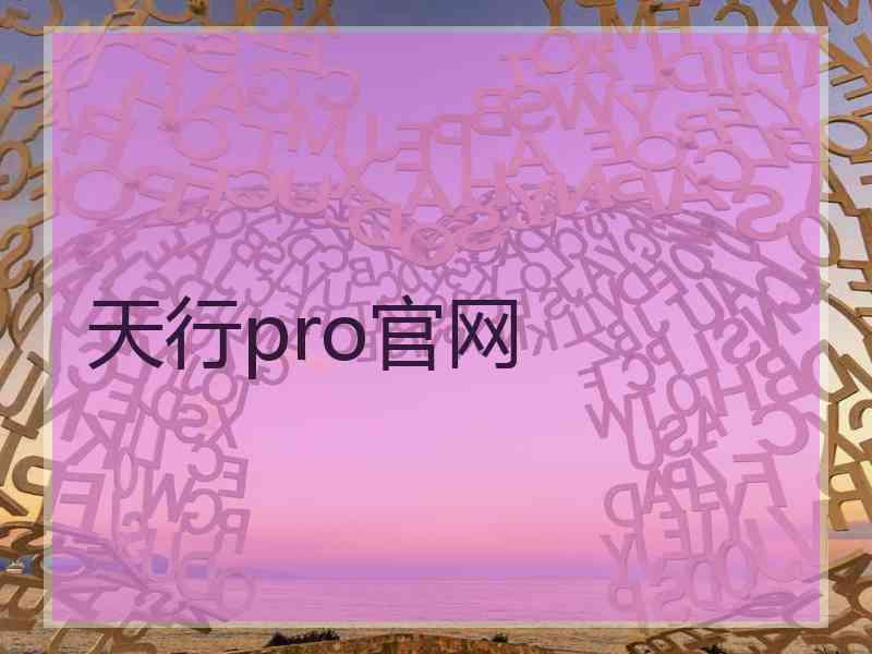 天行pro官网