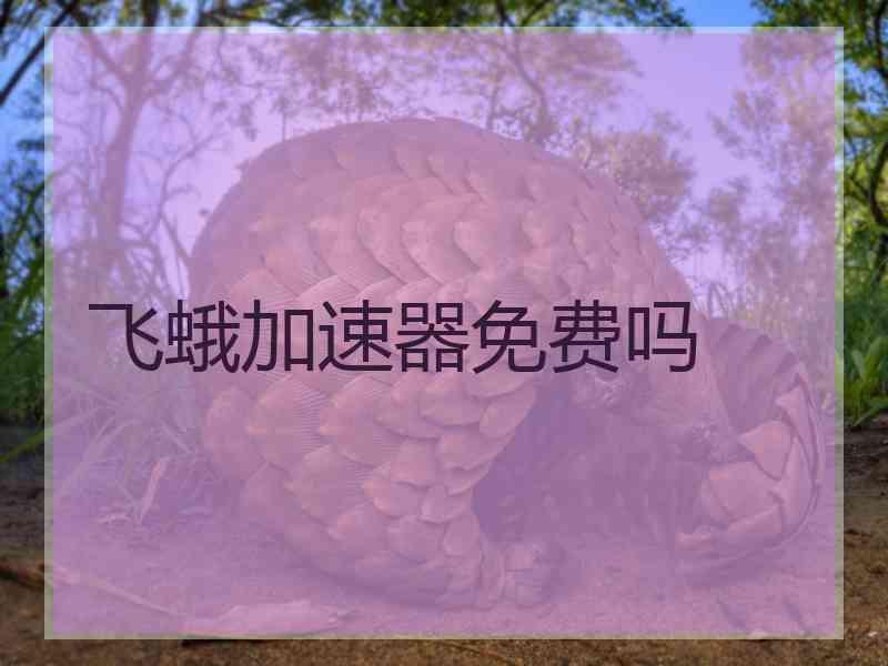 飞蛾加速器免费吗