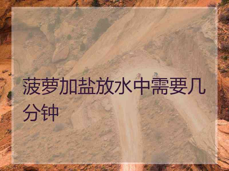 菠萝加盐放水中需要几分钟