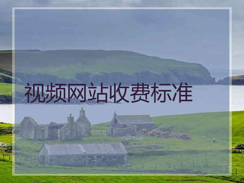 视频网站收费标准