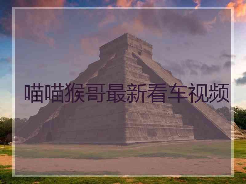 喵喵猴哥最新看车视频