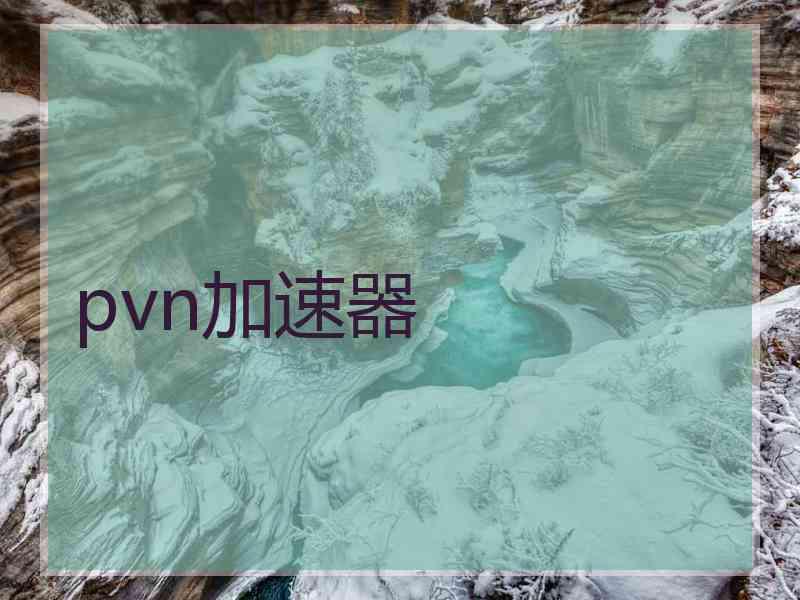 pvn加速器