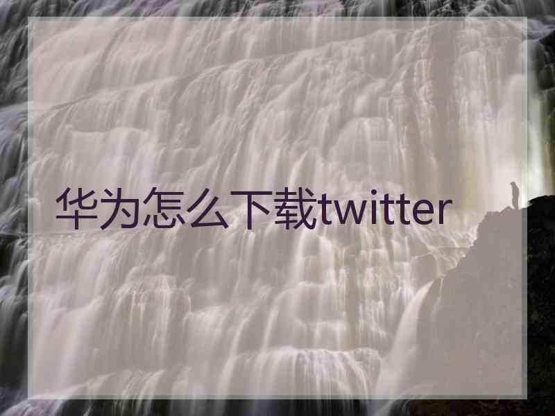 华为怎么下载twitter