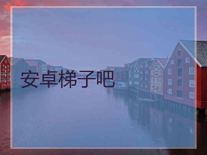 安卓梯子吧