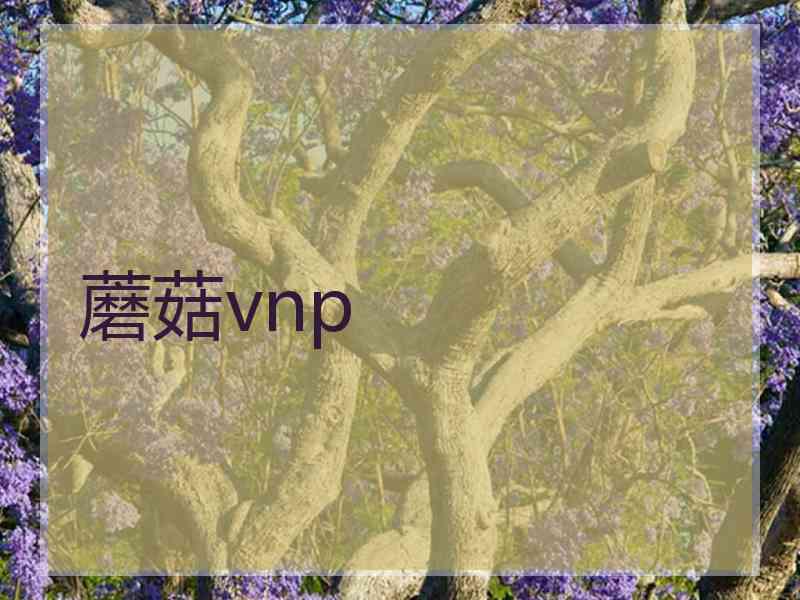 蘑菇vnp