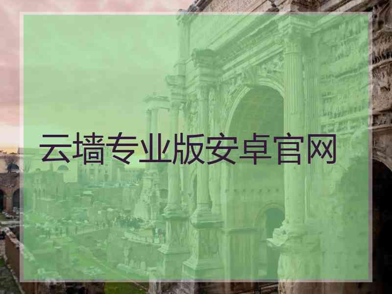 云墙专业版安卓官网