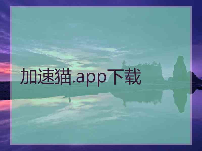 加速猫.app下载