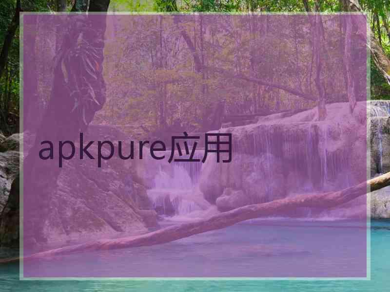 apkpure应用