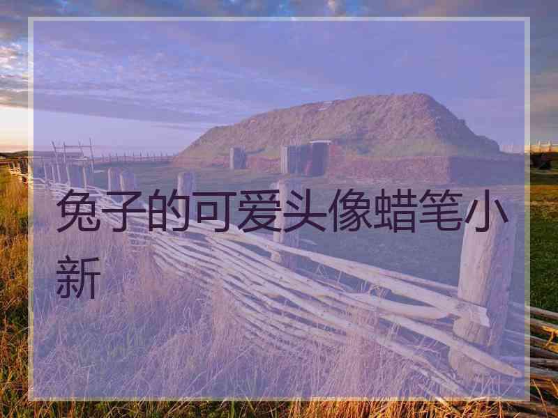 兔子的可爱头像蜡笔小新