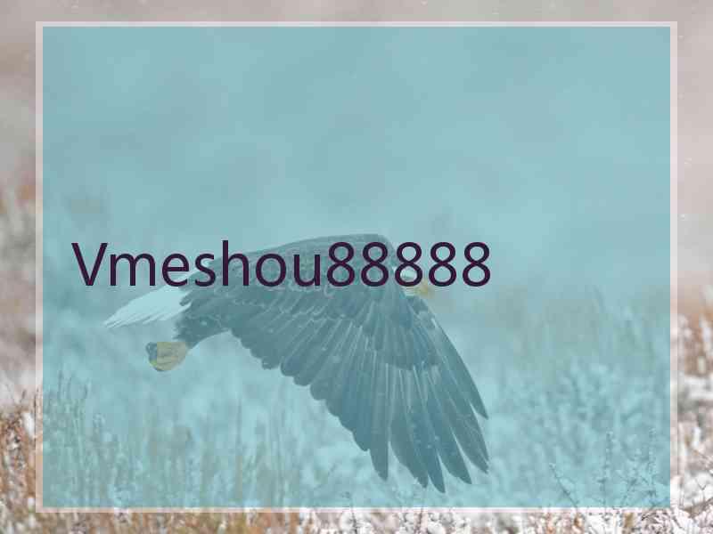 Vmeshou88888