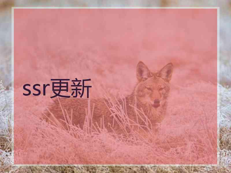 ssr更新