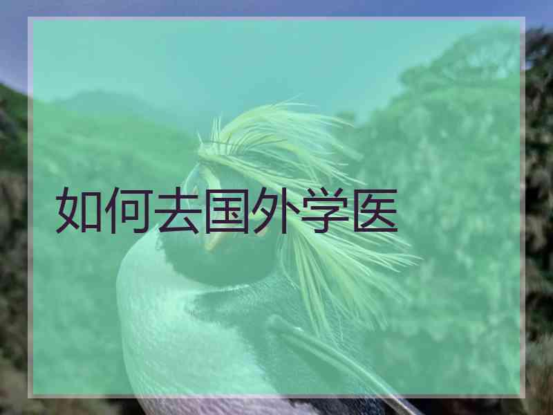 如何去国外学医