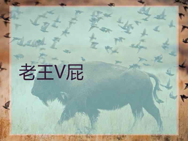 老王V屁