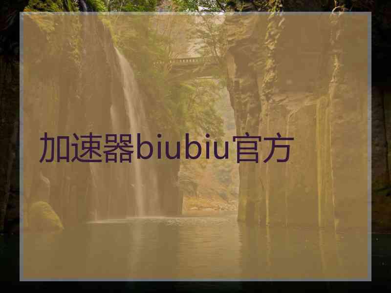 加速器biubiu官方