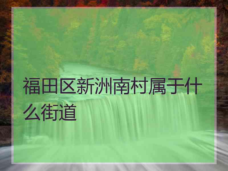 福田区新洲南村属于什么街道