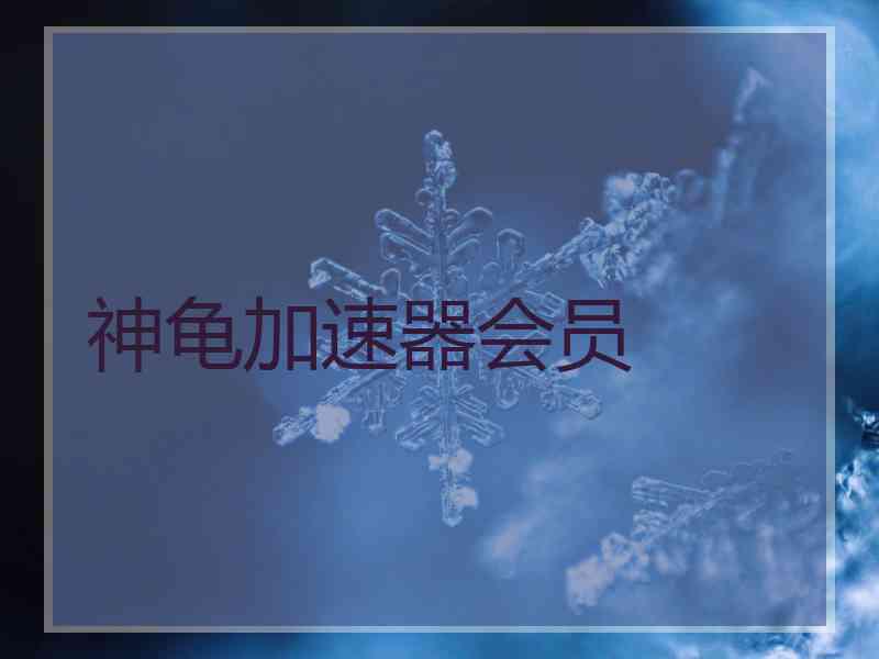 神龟加速器会员