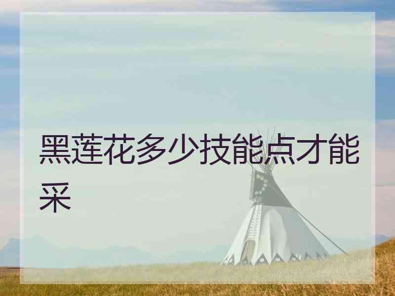黑莲花多少技能点才能采