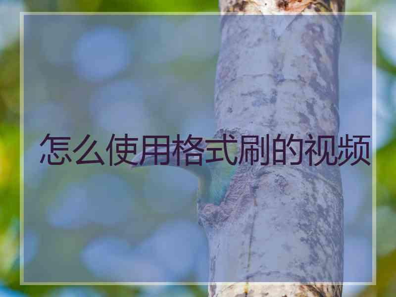 怎么使用格式刷的视频