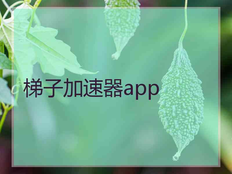 梯子加速器app