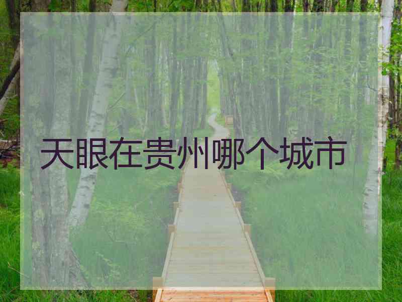 天眼在贵州哪个城市